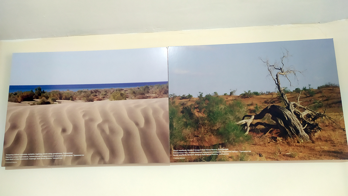 «Garagumuň tebigaty» atly maglumat merkezi açyldy